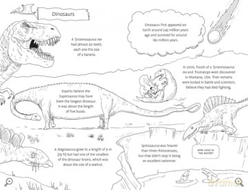 Awesome Facts for Curious Kids: 9 Year Olds - Steve Martin [KSIĄŻKA]