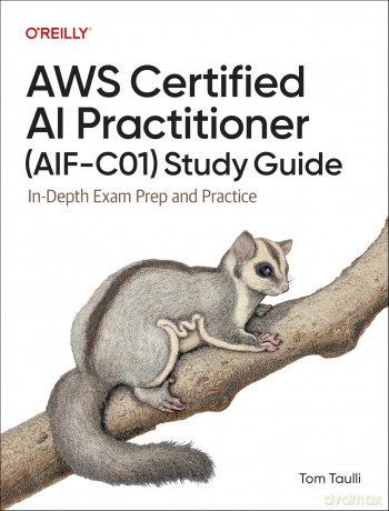 AWS Certified AI Practitioner - Tom Taulli [KSIĄŻKA]