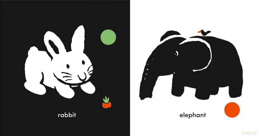 Baby Basicstm: My Animal Sounds - Xavier Deneux [KSIĄŻKA]