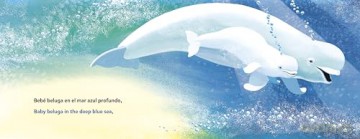Baby Beluga/Bebe beluga - Ashley Wolff [KSIĄŻKA]