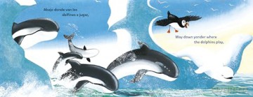 Baby Beluga/Bebe beluga - Ashley Wolff [KSIĄŻKA]