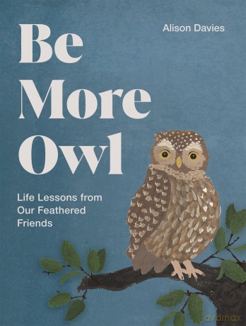 Be More Owl: Life Lessons from Our Feathered Friends - Alison Davies [KSIĄŻKA]