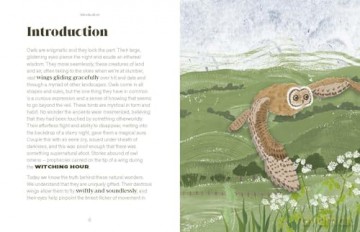 Be More Owl: Life Lessons from Our Feathered Friends - Alison Davies [KSIĄŻKA]