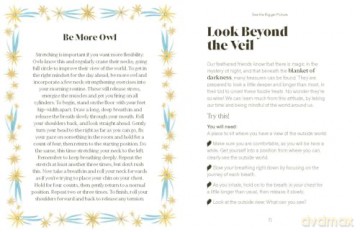 Be More Owl: Life Lessons from Our Feathered Friends - Alison Davies [KSIĄŻKA]