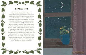 Be More Owl: Life Lessons from Our Feathered Friends - Alison Davies [KSIĄŻKA]