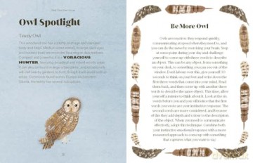 Be More Owl: Life Lessons from Our Feathered Friends - Alison Davies [KSIĄŻKA]
