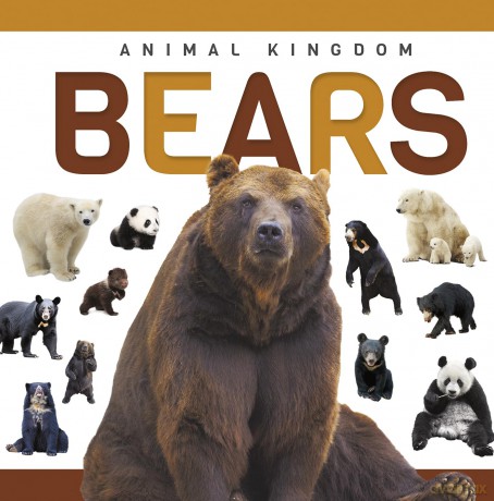 Bears - Alex Hall [KSIĄŻKA]