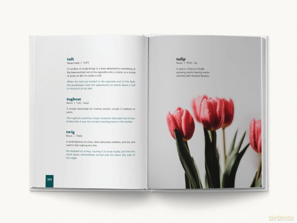 Beautiful Words: A Celebration for Word Lovers - Cider Mill Press [KSIĄŻKA]