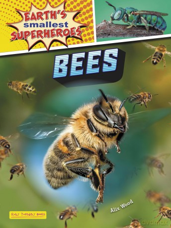 Bees - Earth's Smallest Superheroes - Alix Wood [KSIĄŻKA]