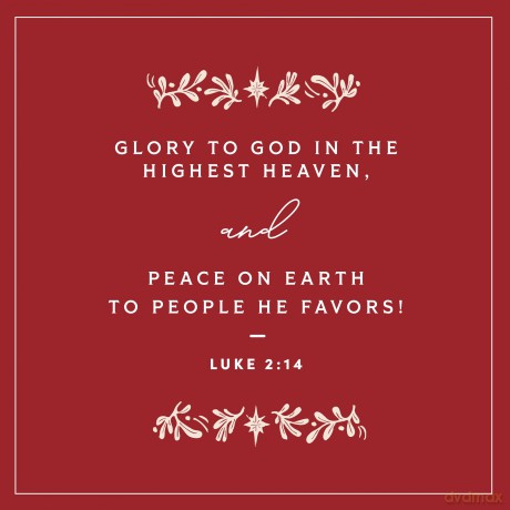 Behold the Savior Advent Bible Study Book - Lifeway Christian Resources [KSIĄŻKA]