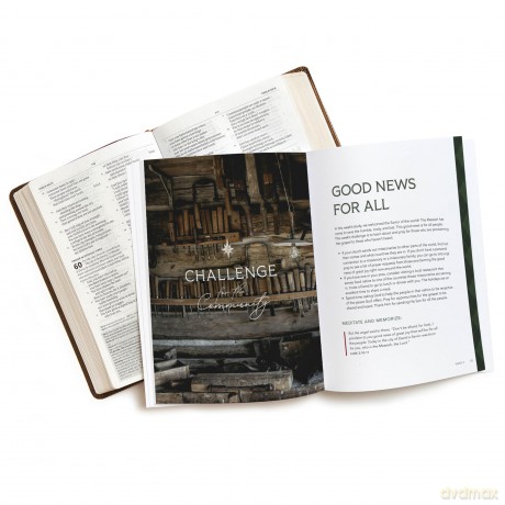 Behold the Savior Bible Study Book: Treasuring the Story of Christmas - Lifeway Christian Resources [KSIĄŻKA]