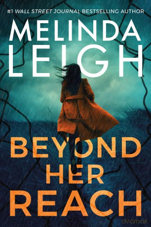 Beyond Her Reach: 10 - Melinda Leigh [KSIĄŻKA]