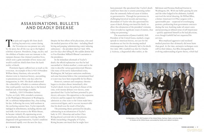 Beyond the Veil: The Victorian Obsession With Death and Mourning - Paul Gambino [KSIĄŻKA]