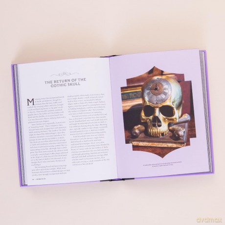 Beyond the Veil: The Victorian Obsession With Death and Mourning - Paul Gambino [KSIĄŻKA]