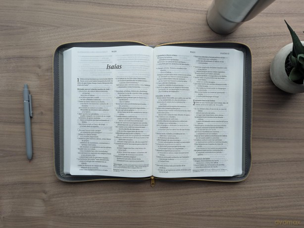 Biblia ultrafina NTV, letra grande de z per con Filament - Tyndale House [KSIĄŻKA]