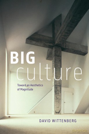 Big Culture: Toward an Aesthetics of Magnitude - David Wittenberg [KSIĄŻKA]