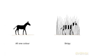Big, Little: A Book of Opposites - Didier Cornille [KSIĄŻKA]