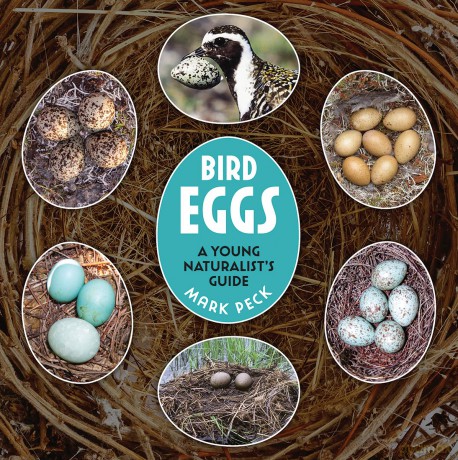 Bird Eggs: A Young Naturalist's Guide - Mark Peck [KSIĄŻKA]