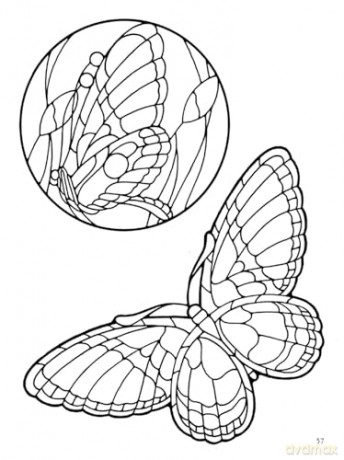Birds and Butterflies Stained Glass Pattern Book - Ed Sibbett [KSIĄŻKA]