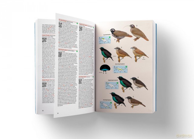 Birds of New Guinea: The Essential Field Guide to the Region's Avifauna: Including Bismarck Archipelago and Bougainville - Phil Gregory [KSIĄŻKA]