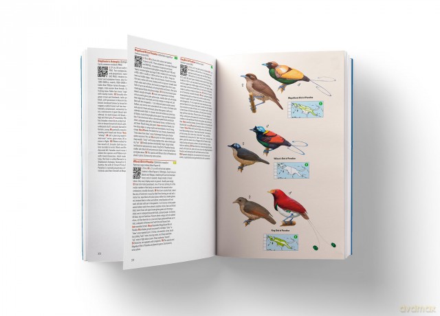 Birds of New Guinea: The Essential Field Guide to the Region's Avifauna: Including Bismarck Archipelago and Bougainville - Phil Gregory [KSIĄŻKA]