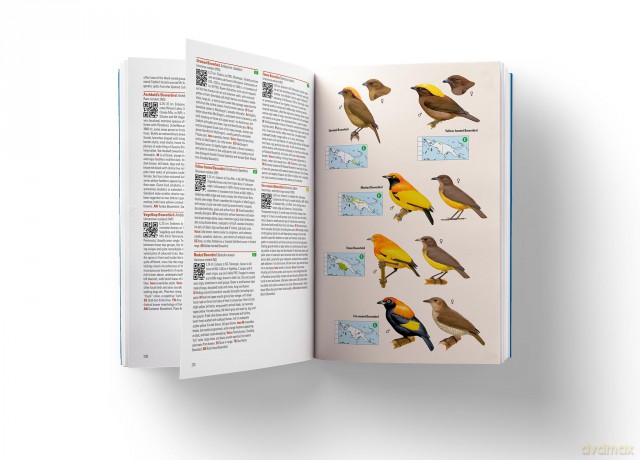 Birds of New Guinea: The Essential Field Guide to the Region's Avifauna: Including Bismarck Archipelago and Bougainville - Phil Gregory [KSIĄŻKA]