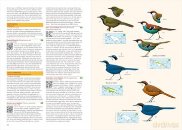 Birds of New Guinea: The Essential Field Guide to the Region's Avifauna: Including Bismarck Archipelago and Bougainville - Phil Gregory [KSIĄŻKA]