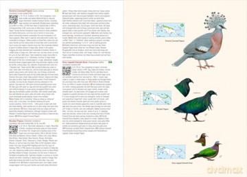 Birds of New Guinea: The Essential Field Guide to the Region's Avifauna: Including Bismarck Archipelago and Bougainville - Phil Gregory [KSIĄŻKA]