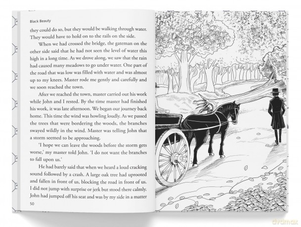 Black Beauty: Illustrated Abridged Children Classics English Novel With Review Questions - Anna Sewell [KSIĄŻKA]