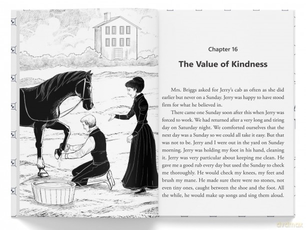 Black Beauty: Illustrated Abridged Children Classics English Novel With Review Questions - Anna Sewell [KSIĄŻKA]