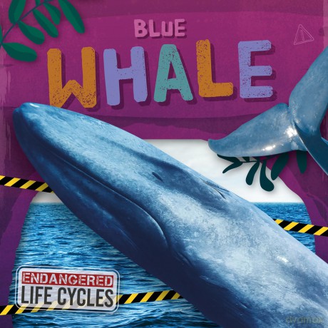 Blue Whale - E.C. Andrews [KSIĄŻKA]