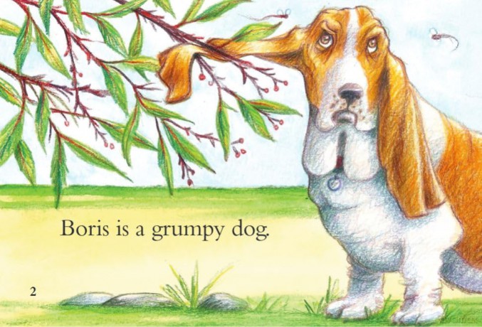 Boris the Basset - Sharon Callen [KSIĄŻKA]