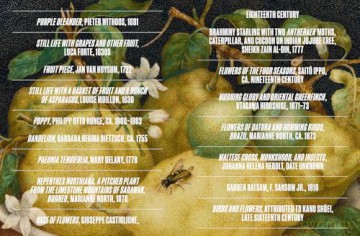 Botanical Revolutions: How Plants Changed the Course of Art - Giovanni Aloi [KSIĄŻKA]