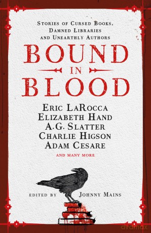 Bound in Blood - Johnny Mains [KSIĄŻKA]
