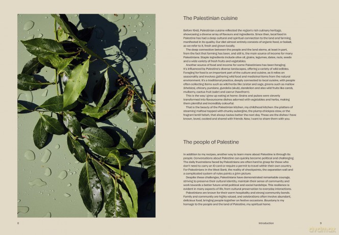 Boustany: A celebration of vegetables from my Palestine: The Sunday Times Bestseller - Sami Tamimi [KSIĄŻKA]