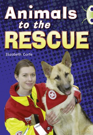 Bug Club Guided Non Fiction Year 2 Gold B Animals to the Rescue - Elizabeth Corfe [KSIĄŻKA]