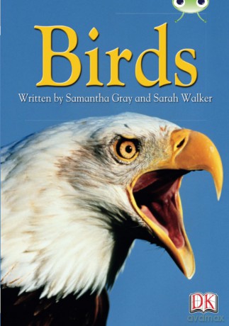 Bug Club Independent Non Fiction Year 4 Grey B Birds - Samantha Gray [KSIĄŻKA]