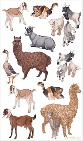 Busy Barnyard of Tattoo Farm Animals: 50 Temporary Tattoos that Teach [KSIĄŻKA]