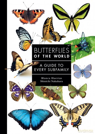 Butterflies of the World: A Guide to Every Subfamily - Blanca Huertas [KSIĄŻKA]