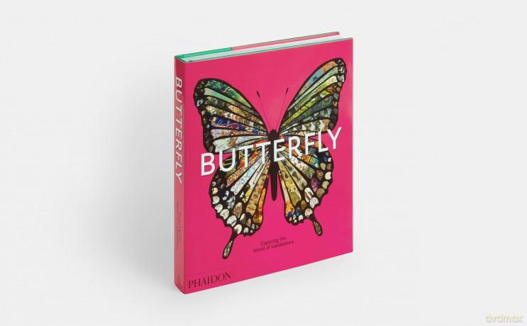 Butterfly: Exploring the World of Lepidoptera - Phaidon Editors [KSIĄŻKA]