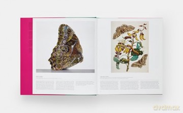 Butterfly: Exploring the World of Lepidoptera - Phaidon Editors [KSIĄŻKA]
