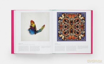 Butterfly: Exploring the World of Lepidoptera - Phaidon Editors [KSIĄŻKA]