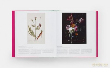 Butterfly: Exploring the World of Lepidoptera - Phaidon Editors [KSIĄŻKA]