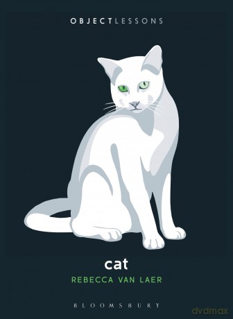 Cat - Rebecca van Laer [KSIĄŻKA]