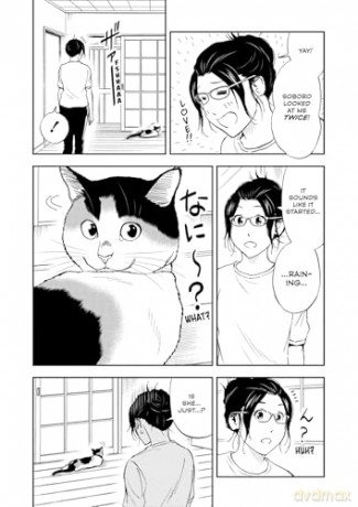 Cat + Gamer Volume 8 - Wataru Nadatani [KOMIKS]