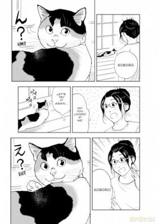 Cat + Gamer Volume 8 - Wataru Nadatani [KOMIKS]