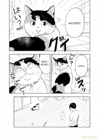 Cat + Gamer Volume 8 - Wataru Nadatani [KOMIKS]
