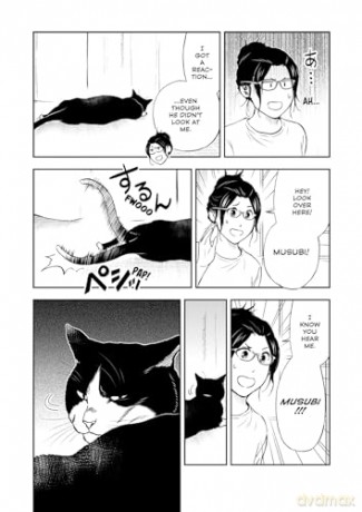 Cat + Gamer Volume 8 - Wataru Nadatani [KOMIKS]