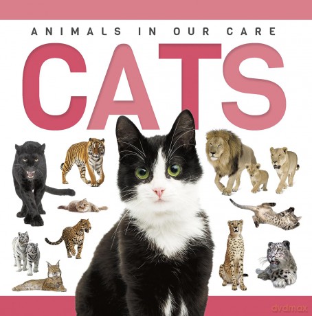 Cats - Rebecca Phillips-Bartlett [KSIĄŻKA]