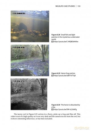 CCTV for Wildlife Monitoring - An Introduction - Susan Young [KSIĄŻKA]